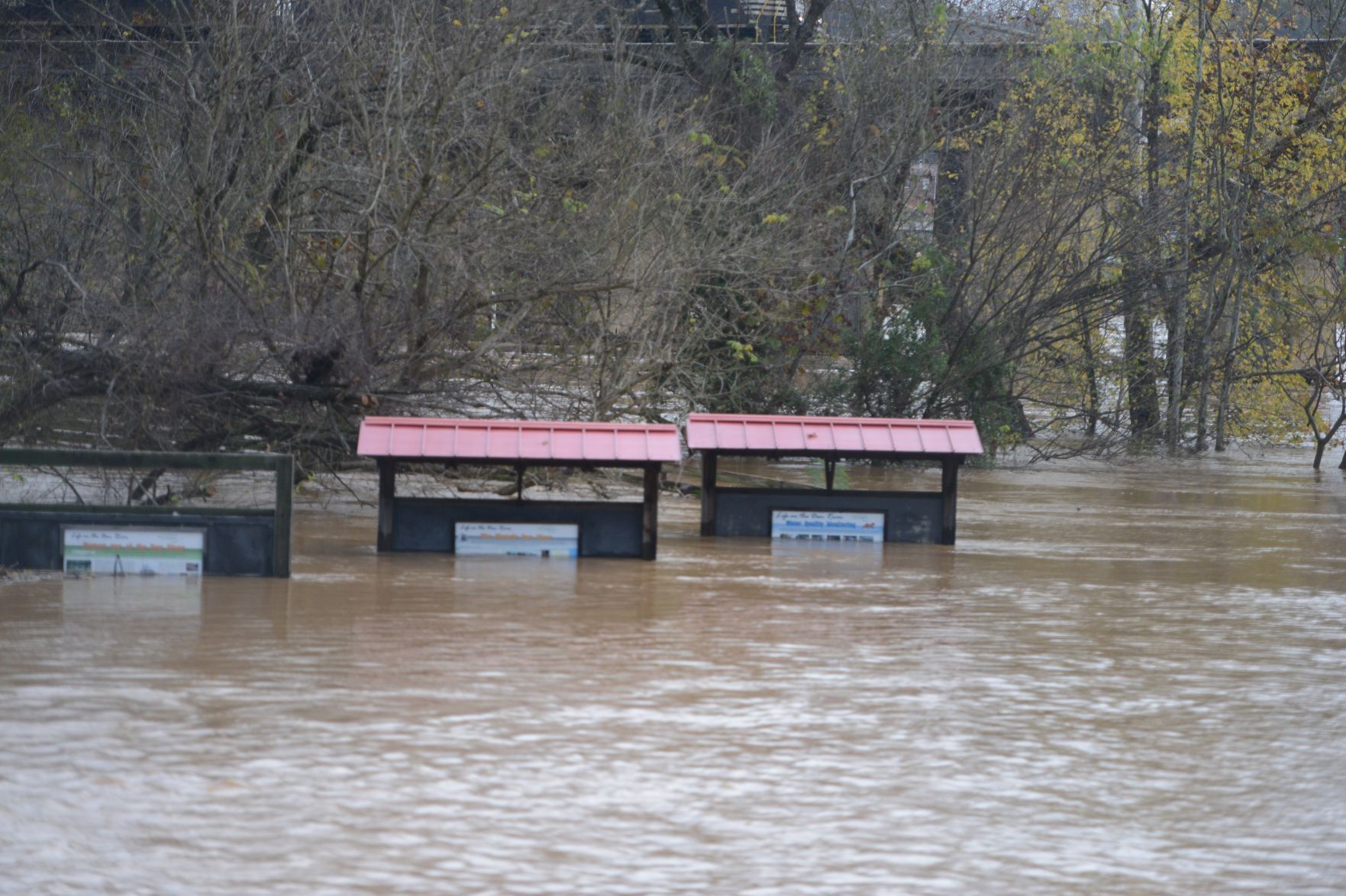 6 Flood Day 2.jpg